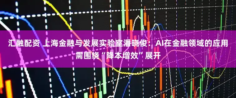 汇融配资 上海金融与发展实验室潘晓俊：AI在金融领域的应用需围绕“降本增效”展开