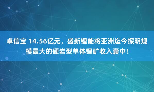 卓信宝 14.56亿元，盛新锂能将亚洲迄今探明规模最大的硬岩型单体锂矿收入囊中！