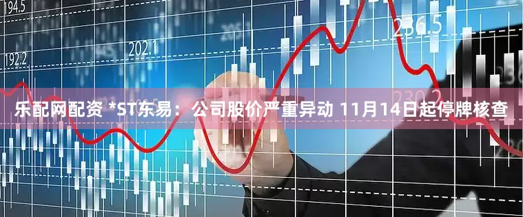 乐配网配资 *ST东易：公司股价严重异动 11月14日起停牌核查