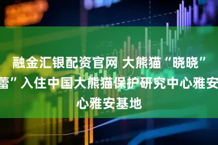 融金汇银配资官网 大熊猫“晓晓”“蕾蕾”入住中国大熊猫保护研究中心雅安基地